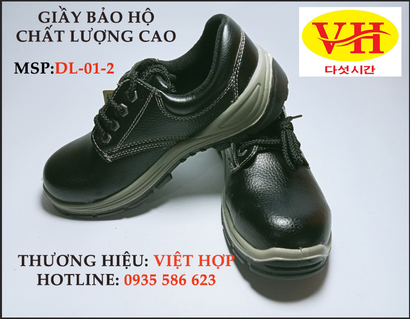 Giày bảo hộ lao động DL-01-2